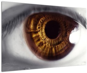 Obraz - Oko (90x60 cm)