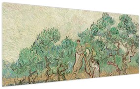 Obraz - Vincent van Gogh, The Olive Orchard, reprodukcia (120x50 cm)