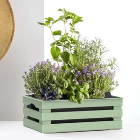 BAMA Bednička TINA Flower 2 SL, farba šalviová