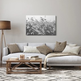 Obraz - Tráva vo vetre (90x60 cm)