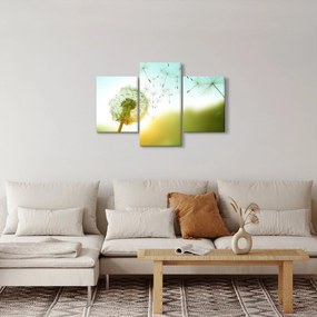 Obraz - Púpava vo vetre (90x60 cm)