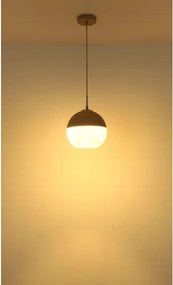 Globo 15999H1 - Závesný luster na lanku RAGUSA 1xE27/60W/230V pr. 25 cm