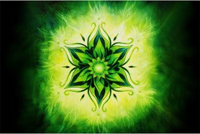 Obraz - Kvetinová mandala v zelenom pozadí (90x60 cm)
