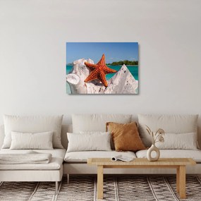 Sklenený obraz morskej hviezdice (70x50 cm)