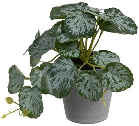 Umelá rastlina (výška 21,5 cm) Saxifraga – Ixia