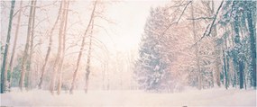 Obraz - Výhľad do lesa (120x50 cm)