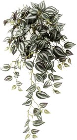 Tradescantia hanging bush grey sivá 70 cm