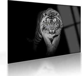 Sklenený obraz - Tiger so žltými očami (70x50 cm)