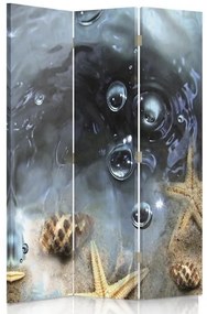 Gario Paraván Hviezdica Rozmery: 110 x 170 cm, Prevedenie: Klasický paraván
