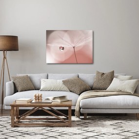 Obraz - Kvapka rosy (70x50 cm)