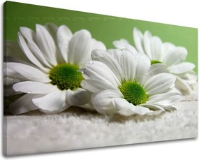 Obraz na stenu KVETY XOBKV111E11 - 100x150 cm