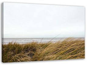 Obraz na plátně Plážová tráva Přírodní duna - 60x40 cm