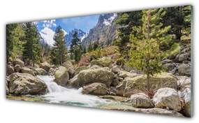 Obraz plexi Hora les kamene rieka 125x50 cm