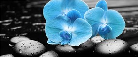 Obraz - Modrá orchidea (120x50 cm)