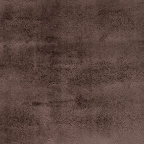 Dekorstudio Kožušinový koberec TOPIA - hnedý Rozmer koberca: 200x290cm