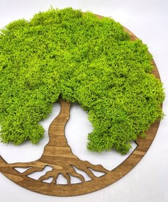 Strom na stenu z machu Elva 30 cm