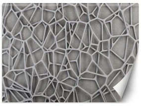 Gario Fototapeta Textúra Materiál: Vliesová, Rozmery: 450 x 315 cm