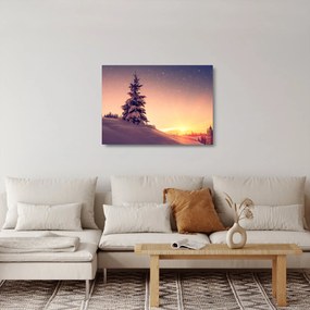 Sklenený obraz zasneženého stromu na lúke (70x50 cm)