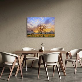 Obraz - Krajina so slnečnicami (70x50 cm)