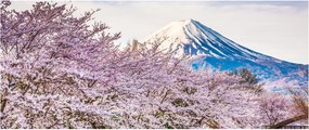 Obraz - Japonsko na jar (120x50 cm)