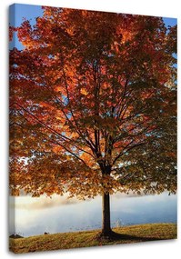 Obraz na plátně Strom Podzimní listí - 80x120 cm