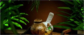Obraz spa vecí (120x50 cm)