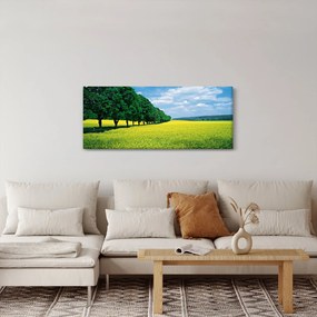 Obraz poľa s alejou (120x50 cm)
