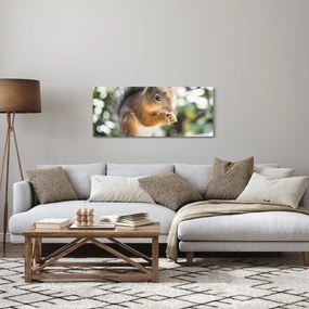 Obraz veveričky (120x50 cm)