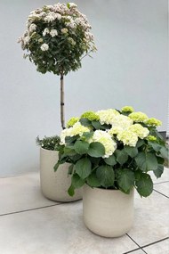 Kvetináč CHICO, sklolaminát, výška 42 cm, béžová