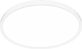 Stropné LED svietidlo Maq, 1x LED 40w, 3000-6500k, w