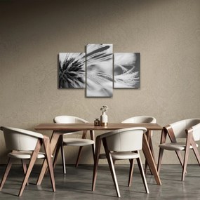 Obraz - Makro, čiernobiela (90x60 cm)