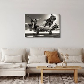 Obraz - Historické lietadlo (90x60 cm)