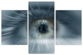 Obraz - Pohľad oka (90x60 cm)