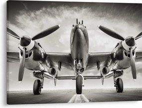 Obraz - Warbird (70x50 cm)