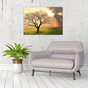 Sklenený obraz stromu na lúke (70x50 cm)