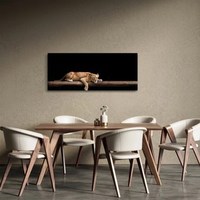 Obraz - Levice (120x50 cm)