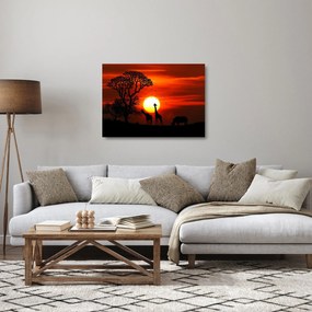 Sklenený obraz - Siluety zvierat pri západe slnka (70x50 cm)