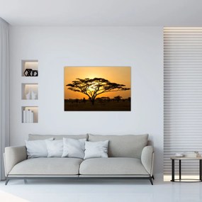 Obraz - Africká savana (90x60 cm)