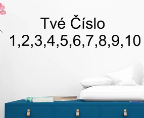 Veselá Stena Samolepka na stenu na stenu Vlastné číslo - Arial Farba: černá