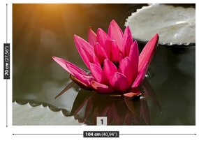Fototapeta Vliesová Lekno ružový 416x254 cm