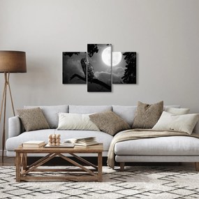 Obraz - Nočná sova, čiernobiela (90x60 cm)