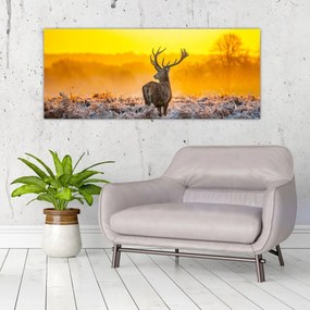 Obraz - Jeleň pri východe slnka (120x50 cm)