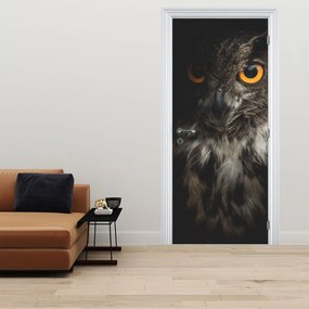 Fototapeta na dvere - Sova (95x205cm)