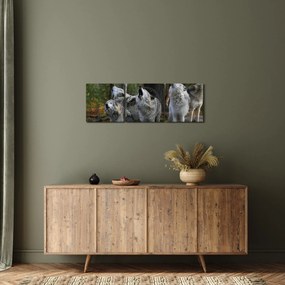 Obraz - Vlci na skale (s hodinami) (90x30 cm)