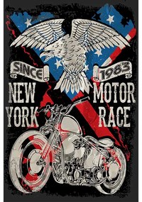 Ceduľa New York - Motor Race