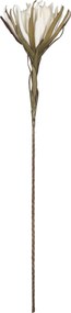 XXXLutz UMELÝ KVET 108 cm Ambia Home - Kvety & kvetináče - 0033240070