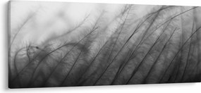 Obraz - Tráva vo vetre (120x50 cm)