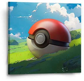 Sablio Obraz Pokemon ball Krajina - 50x50 cm