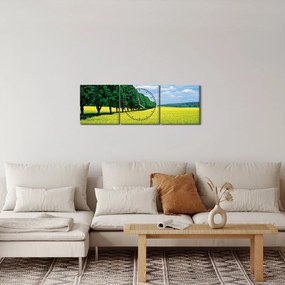 Obraz poľa s alejou (s hodinami) (90x30 cm)