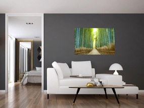 Obraz - Bambusový les (90x60 cm)